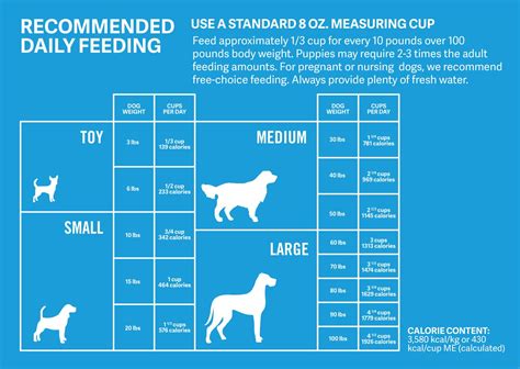 dog nutrition guidelines